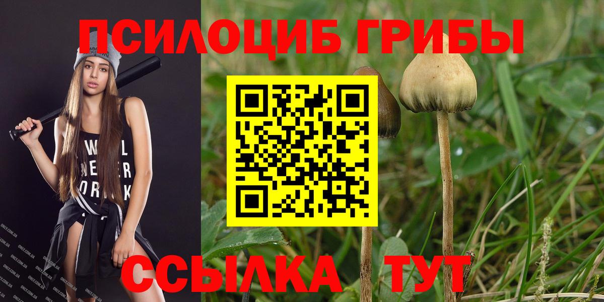Псилоцибиновые грибы Magic Shrooms  Галлюциногенные грибы мухоморы  закладки  Чернушка 