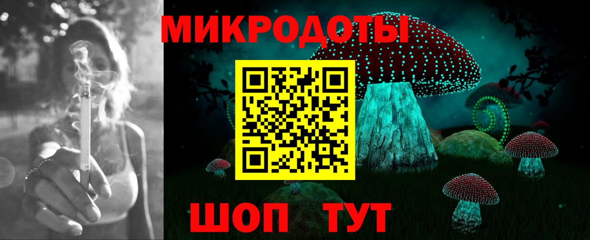 Псилоцибиновые грибы Psilocybine cubensis Чернушка